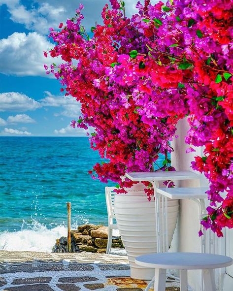 Grecia Santorini, Paros Island, Beautiful Landscape Wallpaper, Beautiful Places Nature, Bougainvillea, Paros, Beautiful Places To Travel, Landscape Wallpaper, Nature Pictures