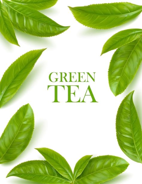 Green tea leaves herbal background, vect... | Premium Vector #Freepik #vector #tea-tree #tea-plant #tea-leaves #herbal Herbal Background, Herbal Logo, Green Tea Leaves, Tea Logo, Tea Quotes, Tea Design, Leaf Background, Natural Logo, Tea Box