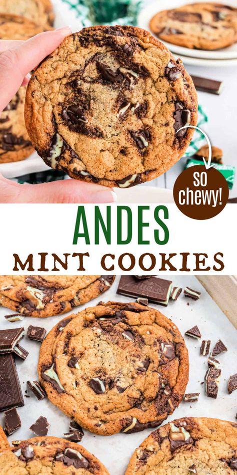 Andy’s Mint Cookies, Andies Mint Cookies, Chocolate Mint Recipes, Andes Mint Recipes, Mint Cookies Recipe, Mint Chocolate Chip Cupcakes, Andes Mint Cookies, Andes Mint Chocolate, Mint Chocolate Chip Cookies