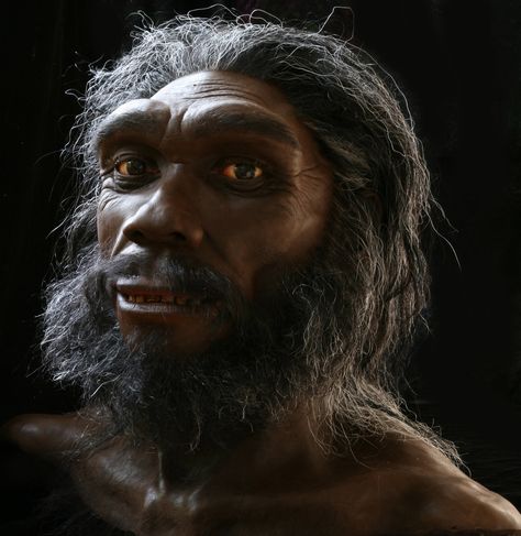 Homo heidelbergensis — John Gurche Paleo Artist Homo Heidelbergensis, Forensic Artist, Prehistoric Age, Prehistoric Man, Human Evolution, Early Humans, Human Species, Anthropology, National Museum