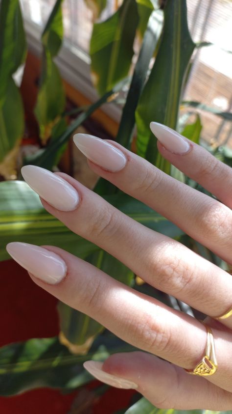 Almond Cream Nails, Milky Cream Nails, Mail Inspo, Nail Vibes, Gel Toe Nails, Milky Nails, Gel Toes, Subtle Nails, Gel Mani