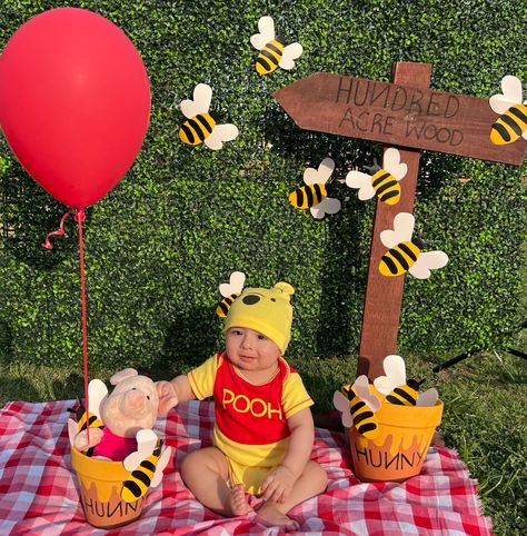 Winnie Pooh Photoshoot, Winnie The Pooh Baby Photo Shoot, Winnie The Pooh Themed Photoshoot, Winnie The Pooh Photoshoot, Winnie The Pooh Monthly Pictures, Newborn Photoshoot Winnie The Pooh, Winnie The Pooh 1st Birthday Photo Shoot, Winnie The Pooh Photo Shoot, Disney Infant Photoshoot