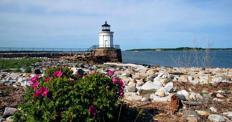 Details for Lighthouses Of Maine Things To Do In November, Things To Do In Maine, Bicycle Trail, Portland Head Light, Maine Lighthouses, Visit Maine, Norwegian Cruise Line, Norwegian Cruise, Cruise Deals