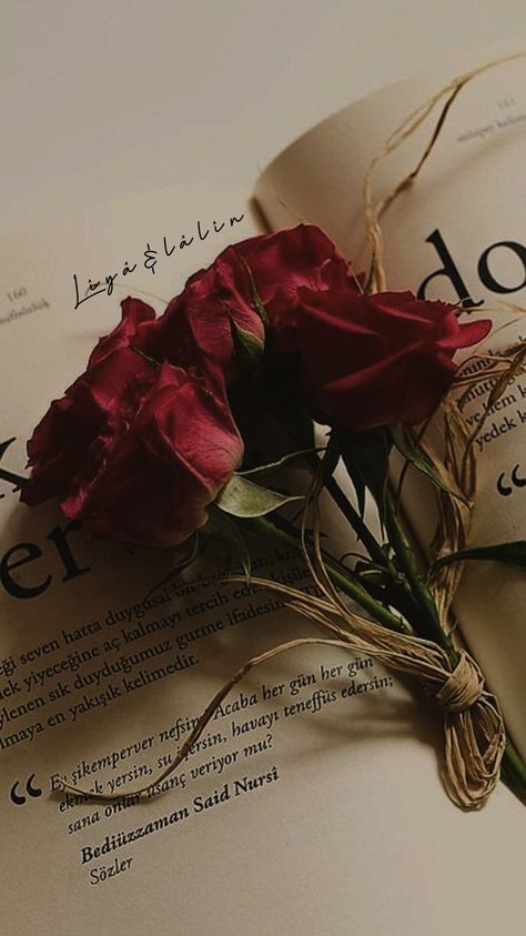 Books And Roses Aesthetic, Desert Rose Aesthetic, Dark Magic Aesthetic Red, Dark Red Roses Aesthetic, Red Core Aesthetic, Red + Core + Aesthetic, Dark Romantic Aesthetic, Aestetic Picture, Red Rose Wallpaper