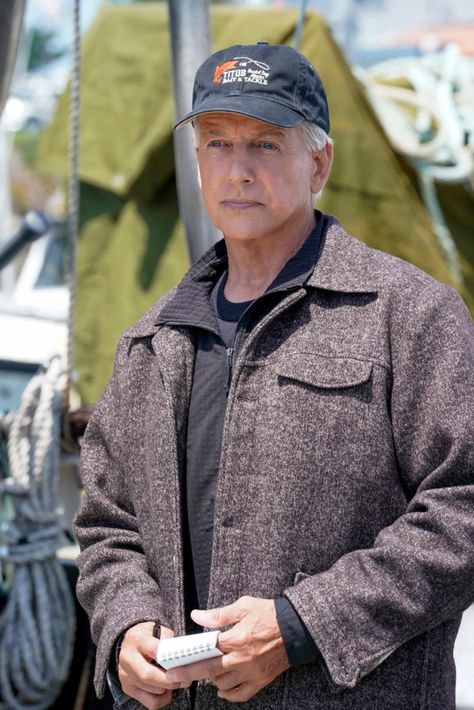 Mark Harmon, Hollywood Life, Ncis, Hollywood