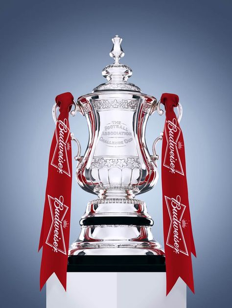 FA Cup (England) Fa Cup Trophy, Football Marketing, Football Trophies, Wigan Athletic, Blackburn Rovers, National League, Fa Cup, Swansea, Cup Final