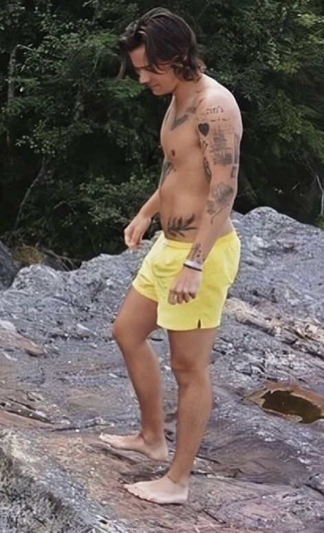 Cindy Crawford Family, Harry Styles Body, Harry Styles Shirtless, Belly Boy, Prince Hair, Harry Styles Hot, Harry Styles Cute, Harry Styles Wallpaper, Harry Styles Pictures