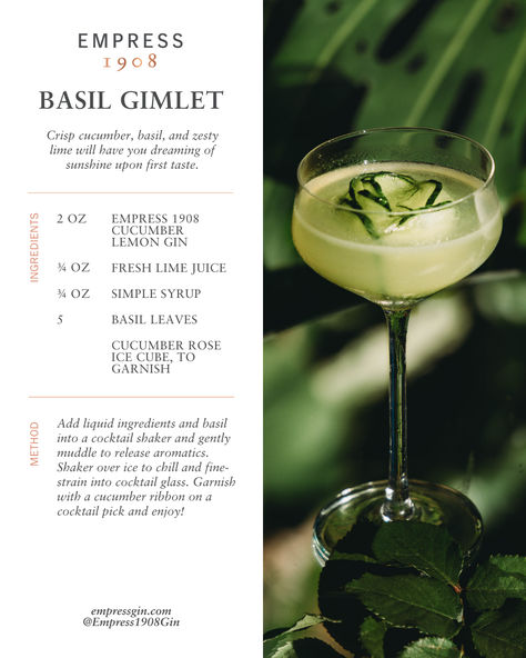 We always love seeing you reinvent our signature cocktails! 💚 Discover @erinandsteven's unique take on our Basil Gimlet, highlighted by an elegant cucumber rose garnish 🥒✨ Basil Gimlet, Cucumber Rose, Glass Garnish, Gimlet, Signature Cocktails, Cocktail Picks, Fancy Drinks, Summer Cocktail Recipes, Basil Leaves