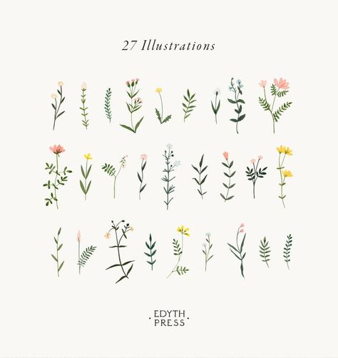 Leaf Clip Art, Wildflower Clipart, Herbs Illustration, Wildflower Drawing, Watercolor Flower Illustration, Watercolor Autumn Leaves, Homemade Things, Png Flowers, Art Leaves