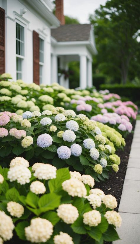 21 Beautiful Flower Beds in Front of House Ideas Beautiful Flower Beds, Colorful Flower Beds, Hydrangea Landscaping, Front Of House Ideas, Front Flower Beds, Flower Bed Ideas, In Front Of House, Most Beautiful Flowers, Tall Plants