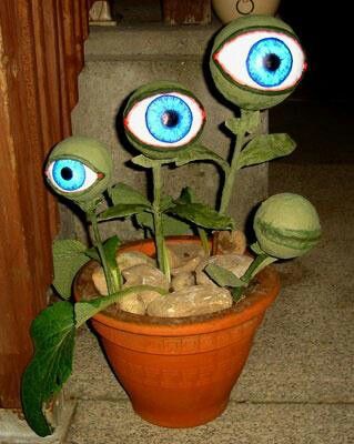 Eyeball plants. Use tennis balls. Eyeball Plant, Halloween Craft Activities, Theme Garden, Halloween Fest, Casa Halloween, Adornos Halloween, Halloween Eyeballs, Halloween Garden, Halloween Crafts Decorations