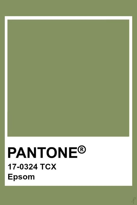 Pantone Olive Green, Olive Colour Palette, Olive Pantone, Pantone 2024, Pantone Tcx, Pantone Green, Pallet Color, Pantone Color Chart, Pantone Swatches