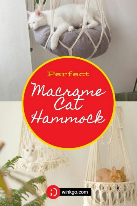 Solar Diy Projects, Macrame Bed, Hammock Ideas, Macrame Cat Hammock, Cozy Hammock, Macrame Designs, Frog Drawing, Cat Hammock, Diy Solar