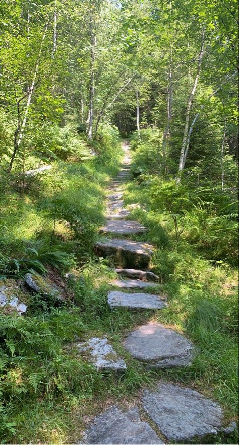 Landscape Stairs, Enchanted Wood, Garden Steps, Stone Path, Forest Garden, Side Yard, Nature Trail, Hiking Trails, Garden Inspiration