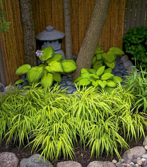 Japanese Zen Garden Landscaping, Backyard Corner, Hakone Grass, Japanese Gardens Design Ideas, Japanese Garden Decor, Japanese Style Garden, Garden Japanese, Small Japanese Garden, Japanese Garden Landscape