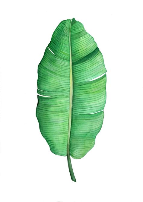 Banana Leaves Drawing, Banana Leaf Drawing, Drawings With Flowers, Leaf Drawings, Flora And Fauna Drawing, Banana Leaf Art, Leaves Drawing, Watercolor Plants, Leaf Drawing