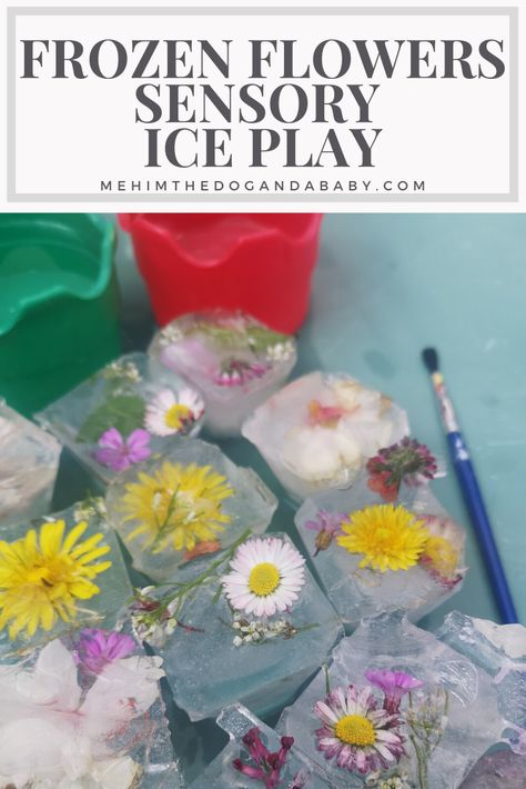 Frozen Flowers Sensory Ice Play, Spring Play Ideas, Garden Activities Eyfs, Plant Tuff Tray, Alice In Wonderland Sensory Play, Spring Theme Tuff Tray, Flowers Toddler Activities, Ice Tuff Tray Ideas, Sensory Play Tuff Tray