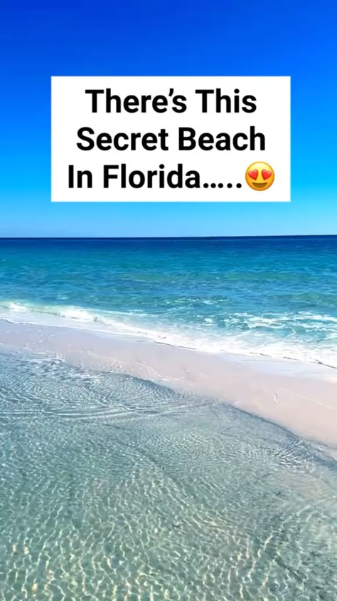 Have you heard of this beach?  Credit to @followmeaway via TT   *affiliate* Caribbean Travel Destinations, Beaches In Florida, Beach Things To Do, Florida Aesthetic, Diani Beach, Florida Travel Destinations, Clear Beaches, Usa Beaches, Top Places To Travel