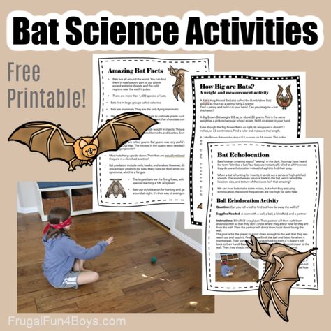 Homeschool Bat Unit, Bat Games For Kids, Bat Cave Day In The Classroom, Bat Science Experiments, Bat Science Activities, Bat Facts For Kids, Bat Activities For Kids, Bat Science, Facts About Bats