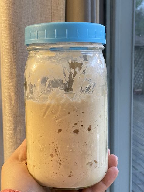 Bread Starter Recipe How To Make, Sourdough Starter Without Discard, No Discard Sourdough Starter Recipe, No Waste Sourdough Starter, Small Batch Sourdough Starter, Sourdough Starter No Discard, No Discard Sourdough Starter, Diy Sourdough Starter, Sour Dough Bread Starter Recipe