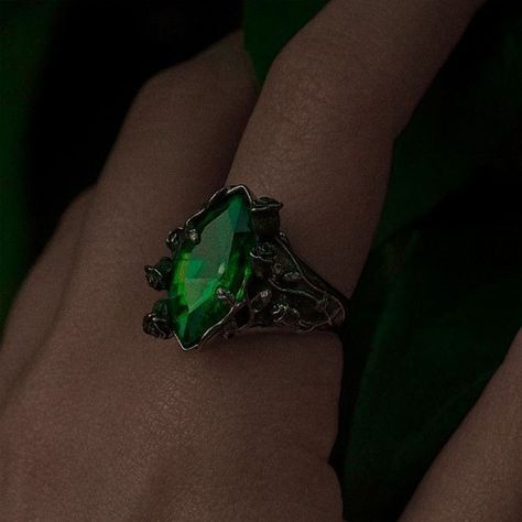 Wilson Aesthetic, Slytherin Ring, Slytherin Jewelry, Slytherin Uniform, Hogwarts Founders, Walburga Black, Slytherin Fashion, Draco Malfoy Aesthetic, Smaragd Ring