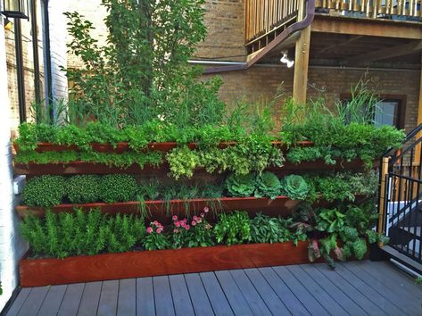 20+ Creative and Inspiring Raised Bed Vegetable Garden Ideas #garden Kebun Herbal, Vegetable Beds Raised, Herb Wall, Vertical Vegetable Garden, Vegetable Garden Raised Beds, Vertical Herb Garden, Vertical Gardening, Desain Lanskap, Veg Garden