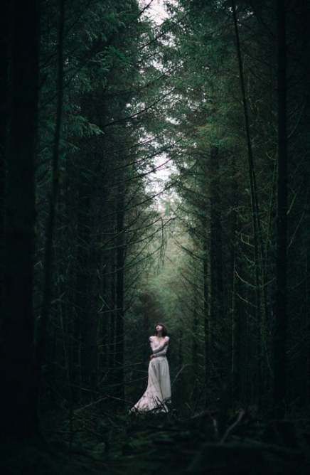 Foto Portrait, Nature Photoshoot, 다크 판타지, Fantasy Photography, Photographie Inspo, Halloween Photoshoot, Foto Tips, Forest Photography, Shooting Photo