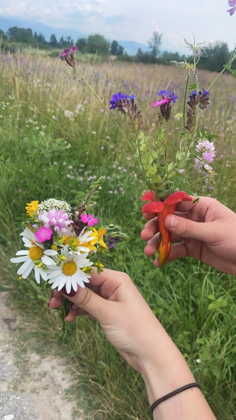 Wild Flowers From Boyfriend, Hand Picked Bouquet, Picked Flowers Bouquet, Small Flower Bouquet Aesthetic, Small Bouquet Of Flowers Aesthetic, Small Wildflower Bouquet, Tiny Aesthetic, Little Bouquet Of Flowers, Hand Picked Flowers