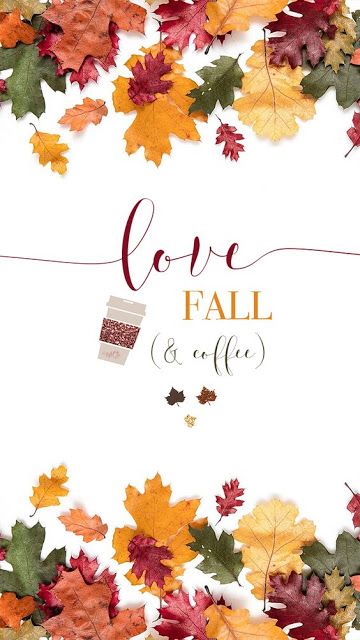 Iphone Wallpaper Fall, Fall Coffee, Love Fall, Fabulous Fall, Beautiful Autumn, Autumn Coffee, Foto Art, Fall Pictures, Favorite Season