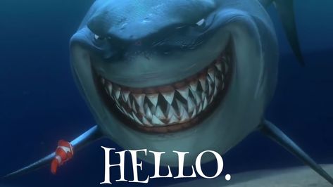 Finding Nemo Nemo Bruce, Disney Icon, Finding Nemo 2003, Legend Of The Guardians, Angry Birds Movie, Live My Life, Disney Wiki, Angler Fish, Finding Dory