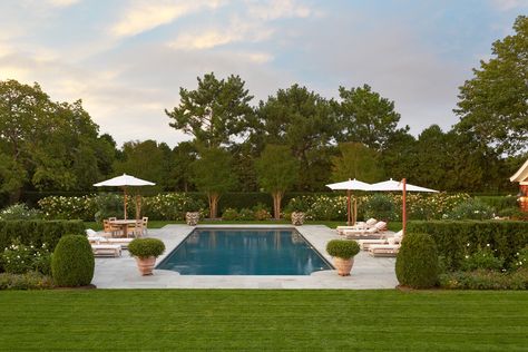 Summer Cottage | Hollander Design Hollander Design, Pool Landscape Design, Dream Yard, Backyard Pool Landscaping, Magic Hour, Modern Beach House, Backyard Inspiration, Summer Cottage, Home Landscaping