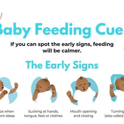 M O O K I - Baby Bottles 🍼 on Instagram: "Understanding baby feeding cues 🙌🏻" Feeding Cues, Bottle Feeding, April 29, Baby Bottles, Baby Feeding, On Instagram, Instagram