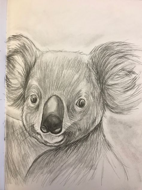 #sketch #koala #austrailianfires #pencil Quote Of The Week, Koala, Doodles, Sketch, Pencil