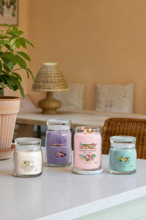 Enjoy these favourite fragrances as the perfect companions to our new Spring and Summer scents! Summer Scents, Pastel Home Decor, Pastel House, Desert Sun, Summer Scent, Desert Landscape, Spring Summer 2024, Glass Vessel, Aesthetic Bedroom