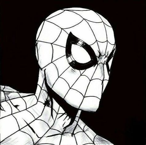 Black And White Spider, Spiderman 1, Black Spiderman, Insta Icon, Black Spider, Black And White Drawing, Black And White Aesthetic, White Picture, Spiderman Art