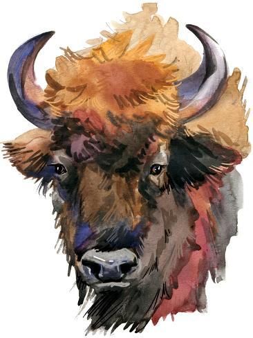 size: 12x9in Art Print: Bison. Forest Animal Watercolor Illustration by Faenkova Elena : Wild Animal Watercolor, Painting Assignments, Buffalo Painting, Buffalo Animal, Bison Art, Buffalo Art, Watercolor Paintings Of Animals, Animal Watercolor, Forest Animal