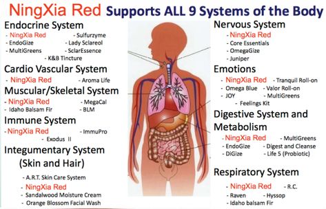 Ningxia Red The Best Drink For A Your Family – brandyskitchen Ningxia Red Benefits, Young Living Supplements, Young Living Recipes, Ningxia Red, Young Living Essential Oils Recipes, Essential Oils Health, Yl Essential Oils, Living Essentials Oils, Skin Care System