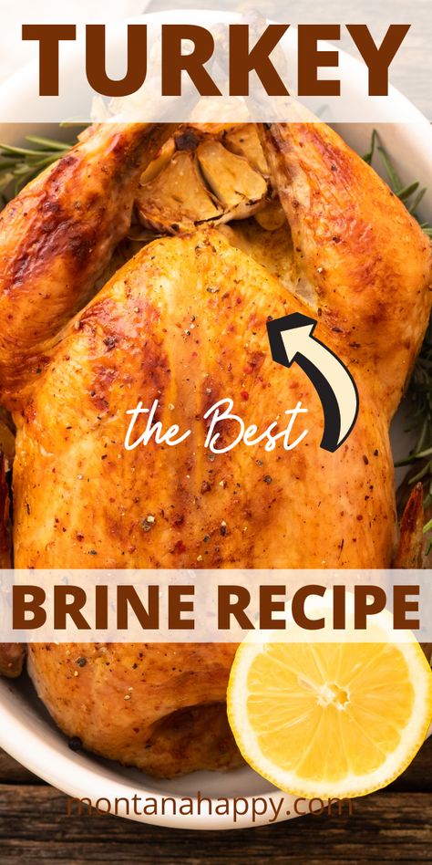 How To Brine Turkey In A Bag, Easy Turkey Brine Simple, Best Turkey Recipe Thanksgiving, Turkey Recipe Thanksgiving, Brining Turkey, Best Turkey Brine, Thanksgiving Turkey Recipes, Brine Recipes, Turkey Brine Recipe