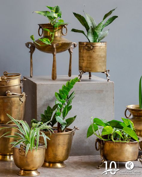 Copper And Brass Decor, Indian Touch Interior, Brass Room Decor, Brass Pots Decor, Brass Home Decor Indian, Indian Brass Decor Ideas, Brass Items Home Decor, Brass Antique Decor, Brass Planters Indian