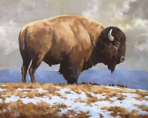 Buffalo Sketch, Buffalo Images, Anna Bucciarelli, Bison Illustration, Bison Painting, Bison Artwork, Buffalo Pictures, Buffalo Art Print, American Nature