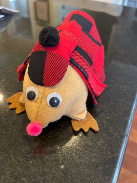 Mole Project, Mole Plush, Mole Day, Mole, School Projects, Sense