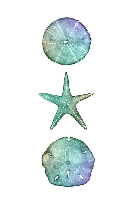 Watercolor Sand Dollar, Sand Dollar Wallpaper, Sand Dollar Watercolor, Sand Dollar Drawing, Tattoo Prep, Sand Dollar Tattoo, Dollar Tattoo, Ocean Sleeve, Seashell Tattoos