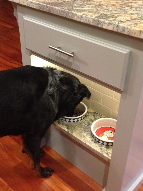 #Built-in #dog #bowls; lucky pup! Dog Station In Pantry, Dog Bowls Built Into Cabinet, Built In Dog Bowls, Dog Food Area, Half Wall Ideas, Pet Feeder Station, Dog Nook, Dog Station, Dog Food Station