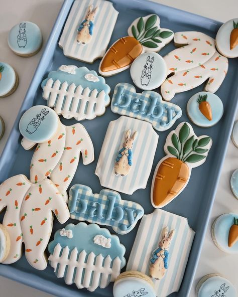 Peter Rabbit Baby Shower Cookies, Bunny Baby Shower Cookies, March Baby Shower Themes, Peter Rabbit Cookies, March Baby Shower, Rabbit Cookies, March Baby, Bunny Baby Shower, Cute Themes