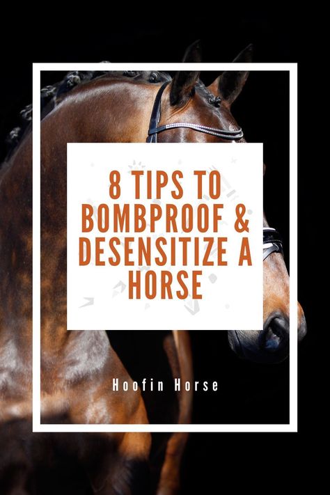 Horses, being a prey species, are often afraid of any encounters that appear to be a threat – they are always vigilant and ready to run for their lives.While this trait can be beneficial in getting the animal out of danger, horses that easily get frightened can be more difficult to handle, not to mention unsafe to ride. https://www.hoofinhorse.com/desensitizing-horse/ Horse Desensitizing Ideas, Desensitizing Horses, Horse Desensitizing, Horse Guide, Horse Riding Games, Horse Grooming Kit, Horse Charm Bracelet, Horse Riding Shirt, Horse Behavior