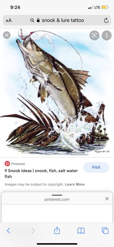 Snook Tattoo, Cooler Painting, Cartoon Drawings, Tattoo Ideas, Fishing, Tattoos, Drawings, Quick Saves