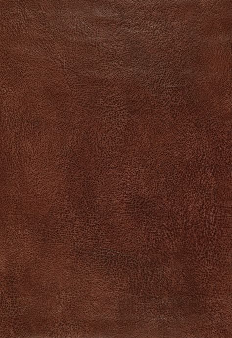 Leather Texture Seamless, Nailhead Trim Sofa, Brown Leather Texture, Top Grain Leather Sofa, Schumacher Wallpaper, Leather Chesterfield Sofa, Leather Chesterfield, Leather Club Chairs, 3d Studio