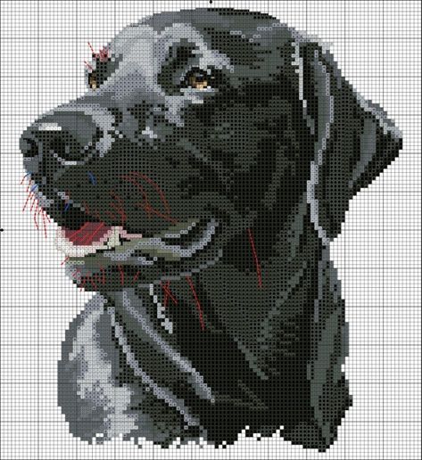 Dog Skull, Crochet Squares Afghan, Crochet Mat, Crochet Knit Stitches, Cross Stitch Letters, Cross Stitch Collection, Xmas Cross Stitch, Custom Cross, Grey Dog