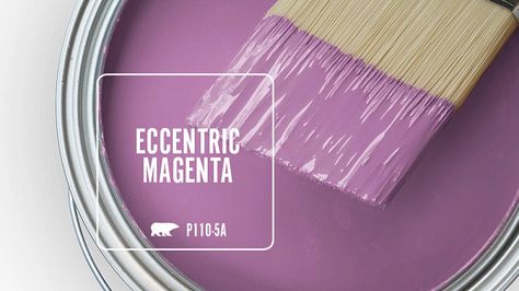 Magenta Walls, Behr Paint Colors, Behr Paint, Paint Colours, Color Scheme, House Colors, Color Combinations, Home Interior Design, Paint Colors