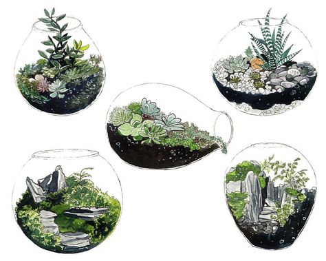 Watercolour terrariums! Swipe to see each one indvidually~ #terrarium #succulents #plants #watercolor #cacti #cactus #foliage #leaves Terrarium Art, Watercolor Cacti, Terrarium Succulent, Plants Watercolor, Bottle Terrarium, Cactus Terrarium, Diy Succulent Terrarium, Cloth Ideas, Foliage Leaves